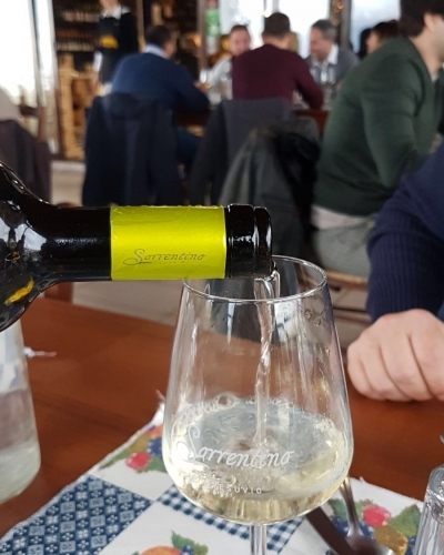 wine tasting on the slopes of Mt. Vesuvius
