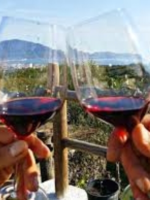 Campania Region Wines